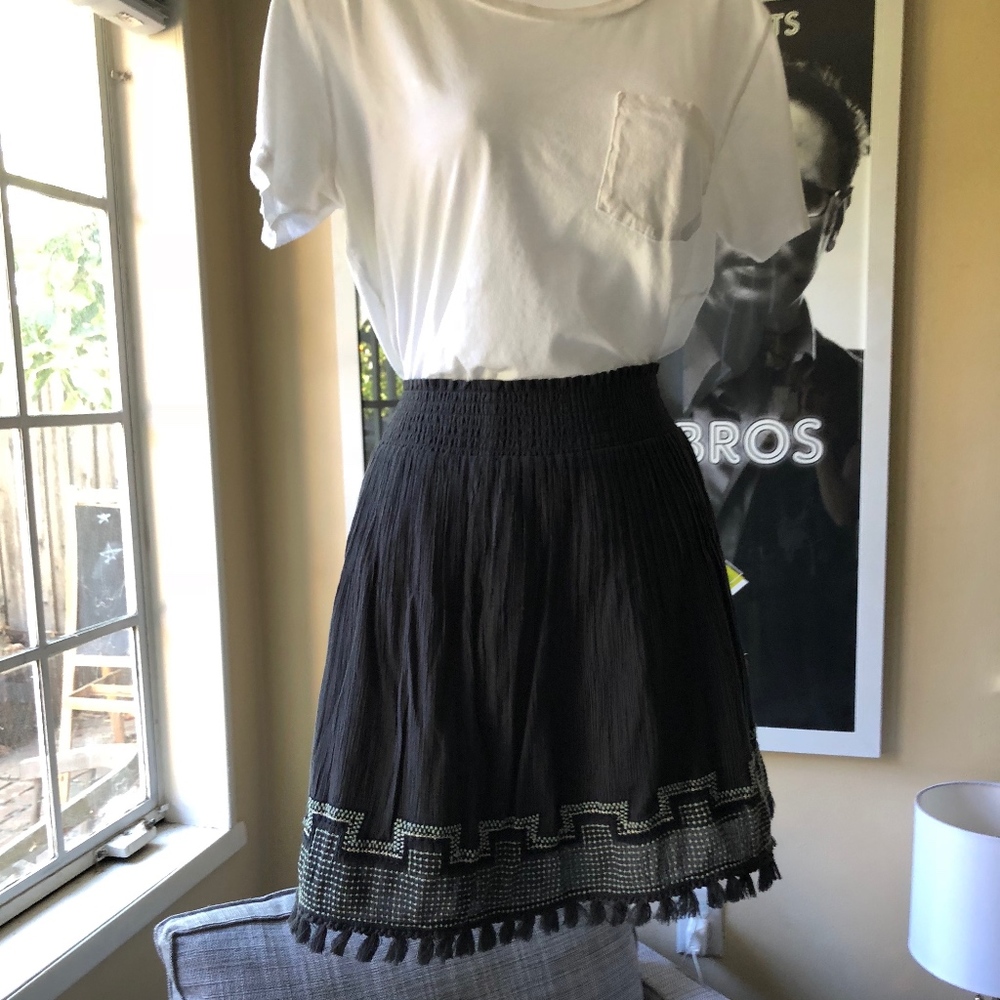 Embroidered Tassel Gauze Skirt